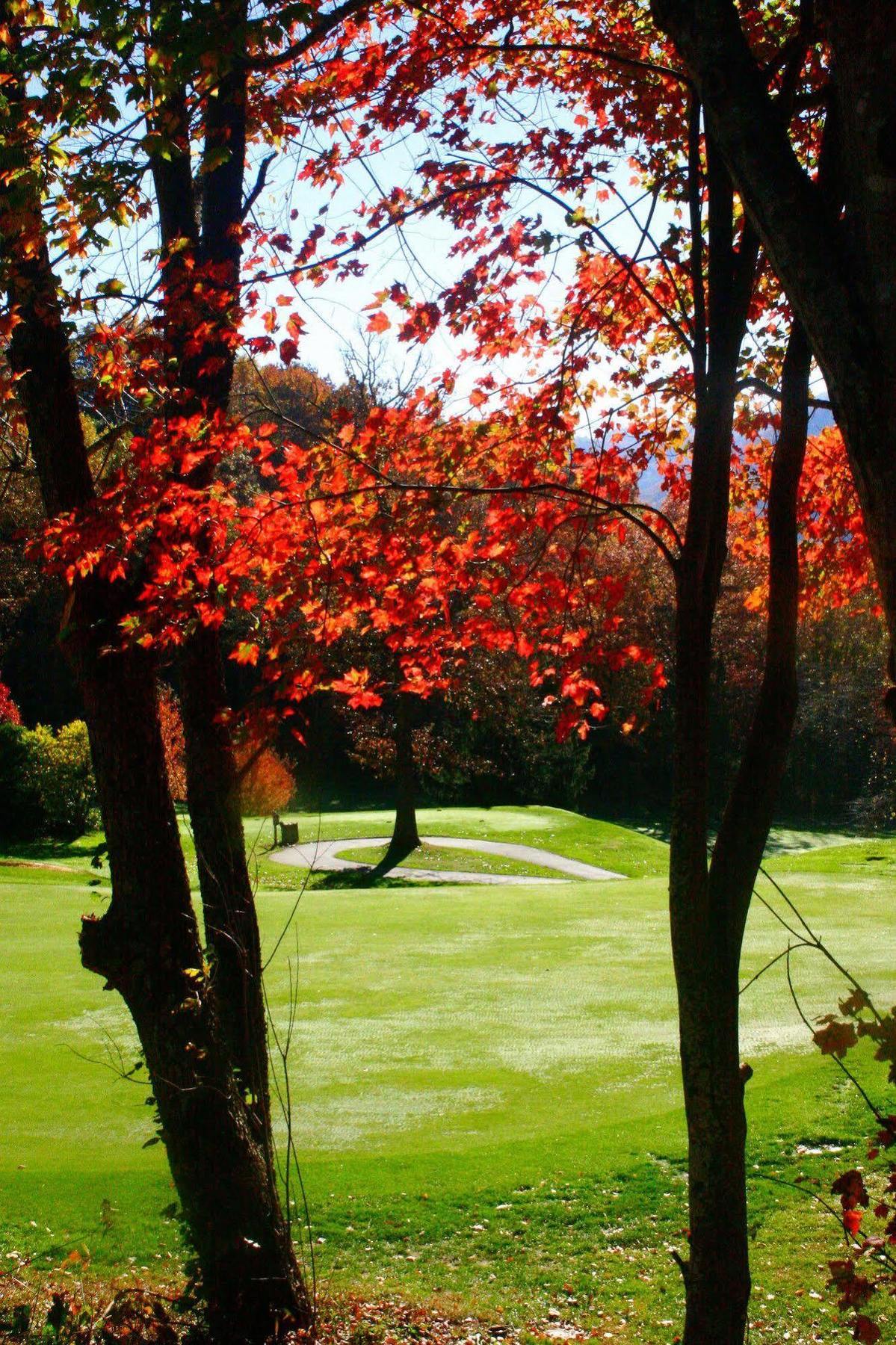 Aparthotel Peppertree Maggie Valley Extérieur photo